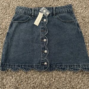 Skirt from Francesca’s -size M